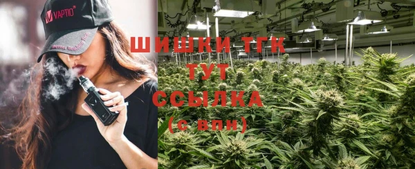 гидра Карталы