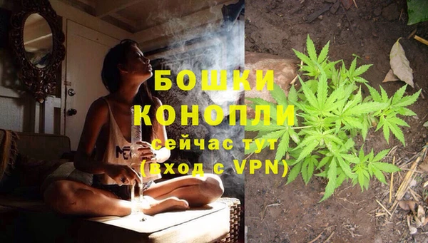 гидра Карталы