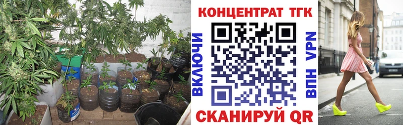 ТГК жижа  Купить  Чекалин 